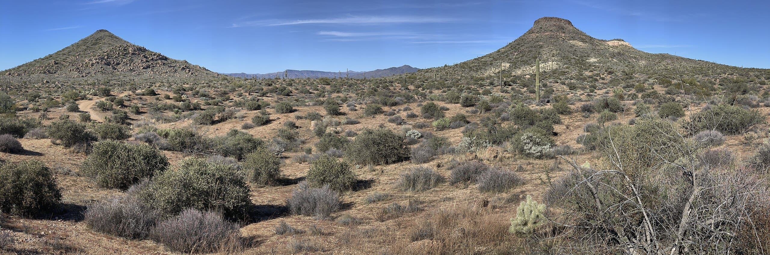 Arizona_desert_panorama (1)