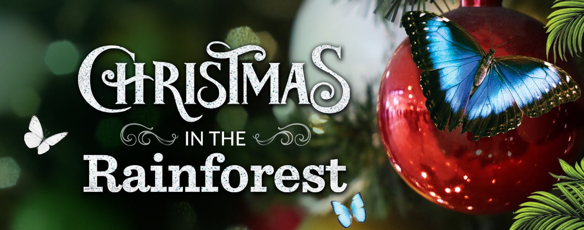 BW_PromoPage-XmasatBW-Header-1