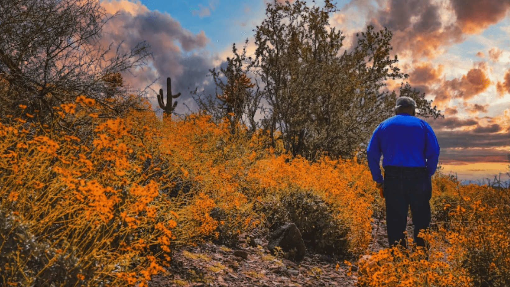 Scottsdale (1)-1