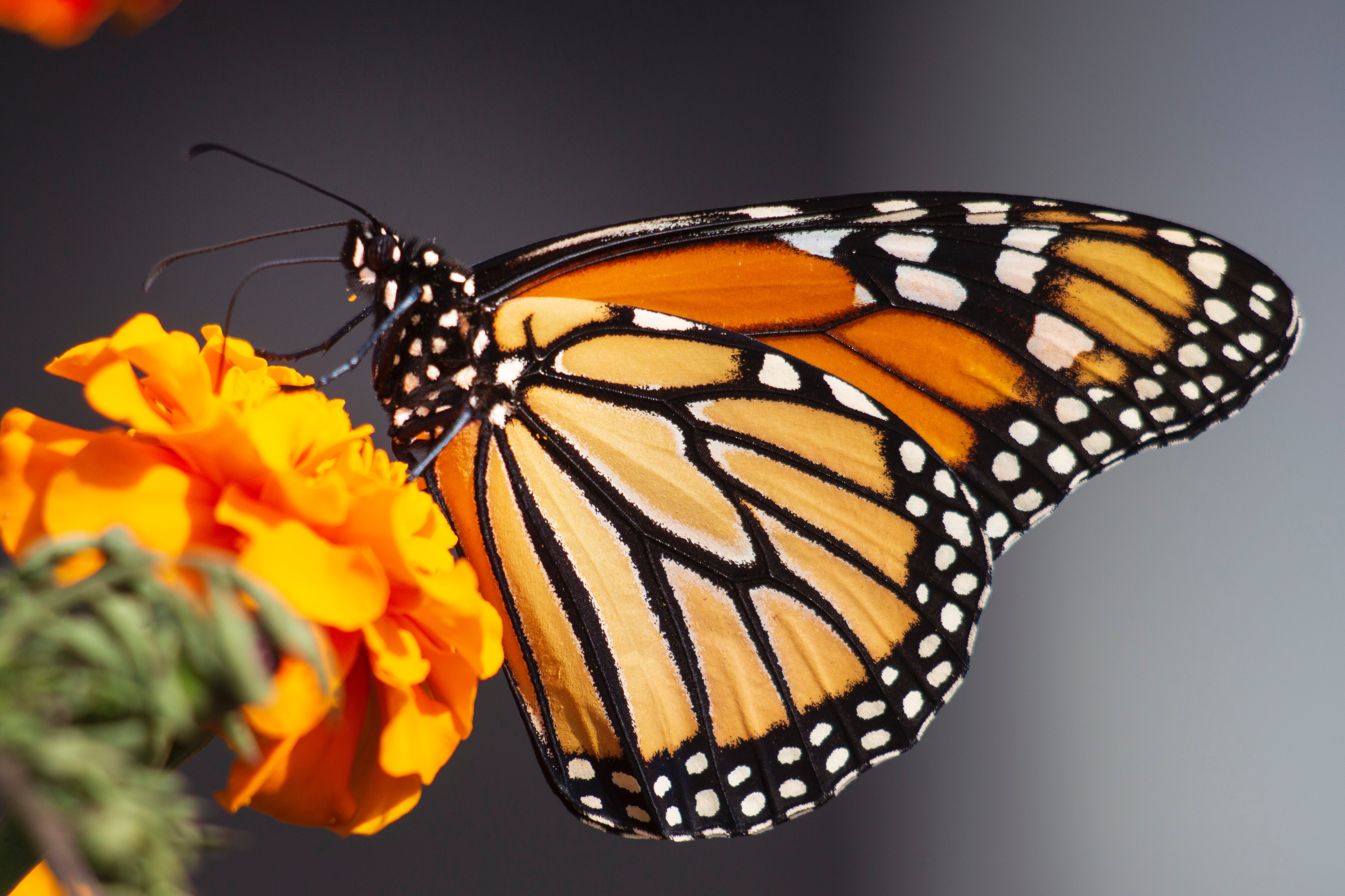 kathy-servian-EwsYJqS0D2E-unsplash