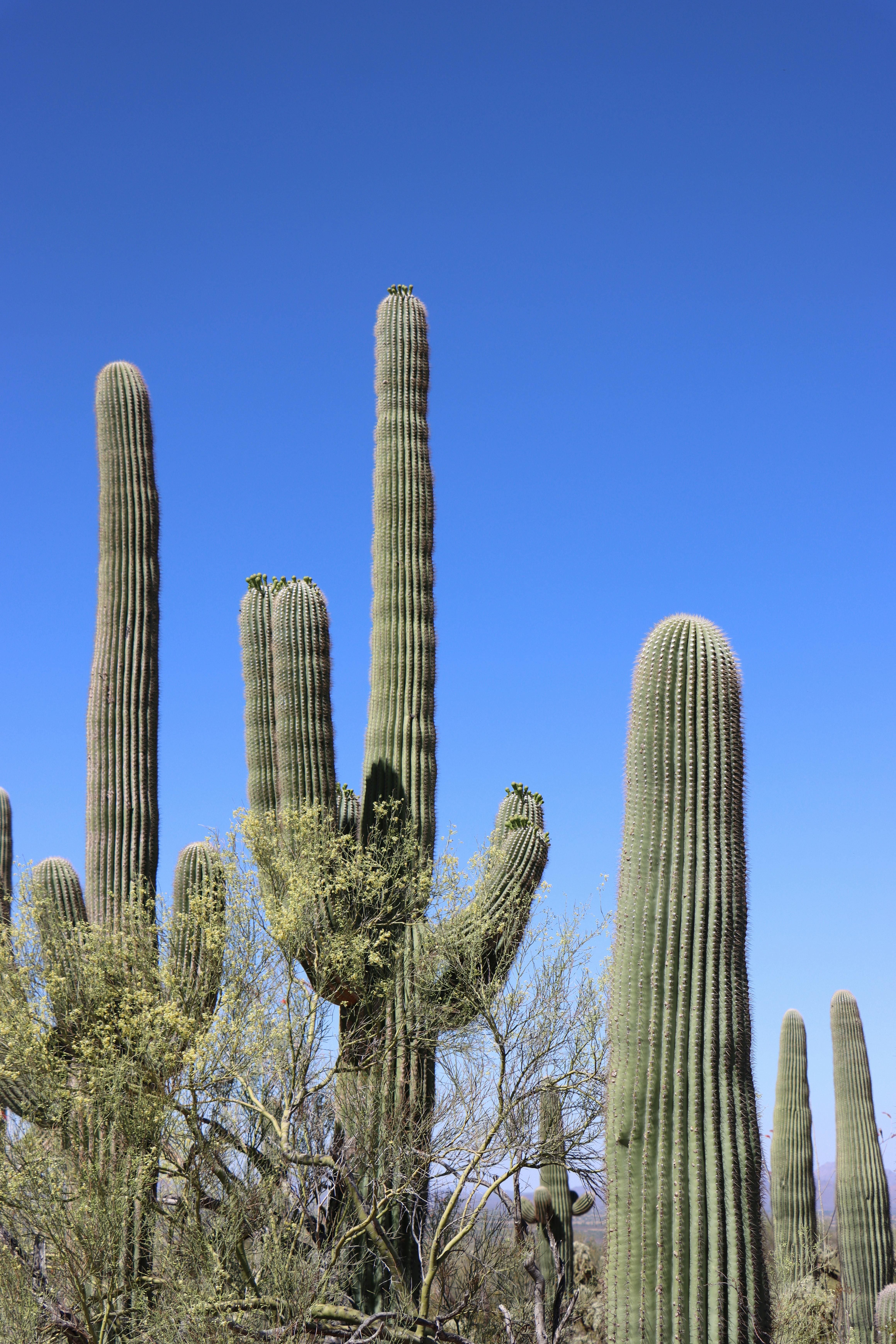 pexels-creativelindseyphotos-37019456 (2)