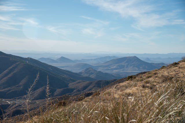 pexels-daniel-miller-2106839-34993352 (2)